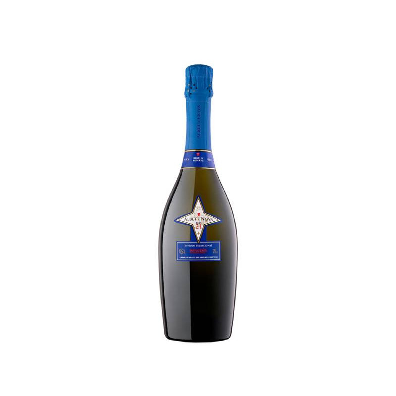 Image of Albet i Noya Brut 21