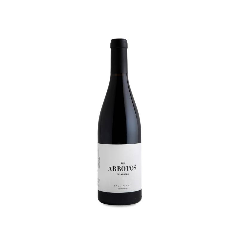 Image of Los Arrotos del Pendón 2019