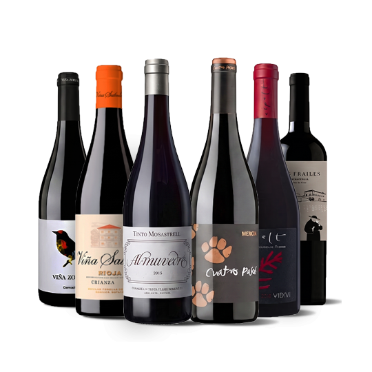 Essential Spanish Wines I