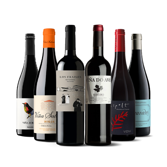 Wichtige spanische Weine I