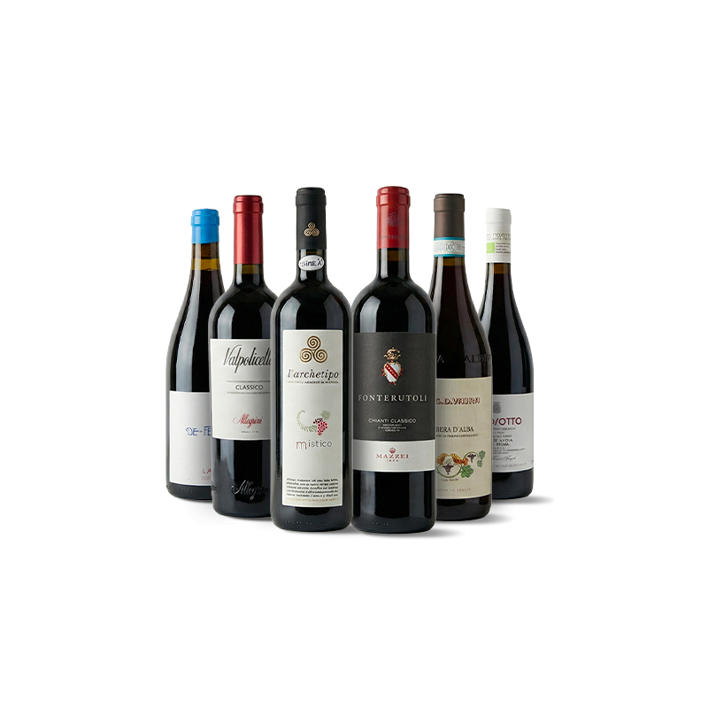 Image of Conoce Italia a través de sus vinos