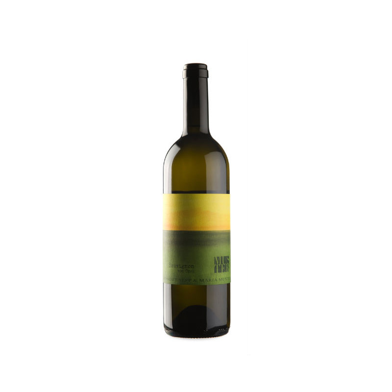 Image of Muster Sauvignon vom Opok 2021