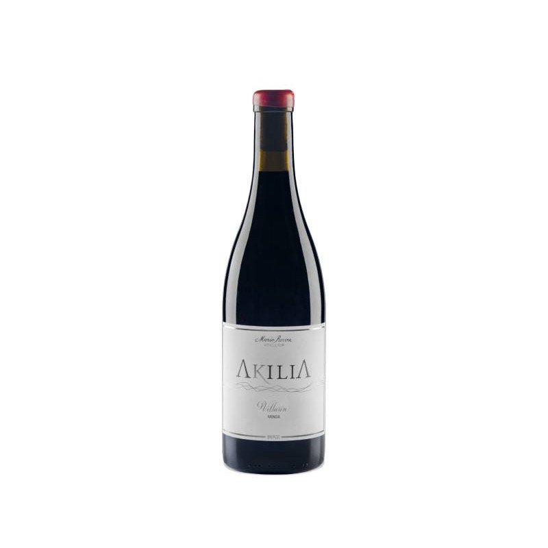 Image of Akilia Villarín 2022
