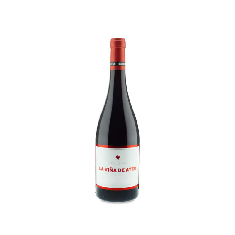 Image of La Viña de Ayer Garnacha 2021