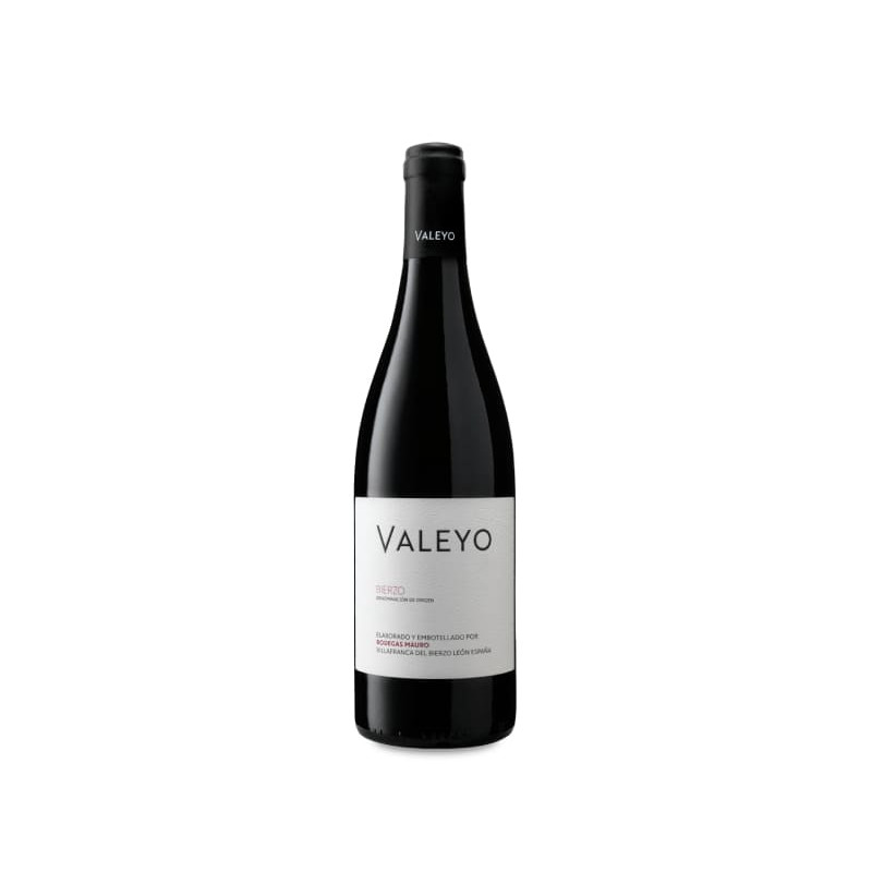 Image of Mauro Valeyo 2021