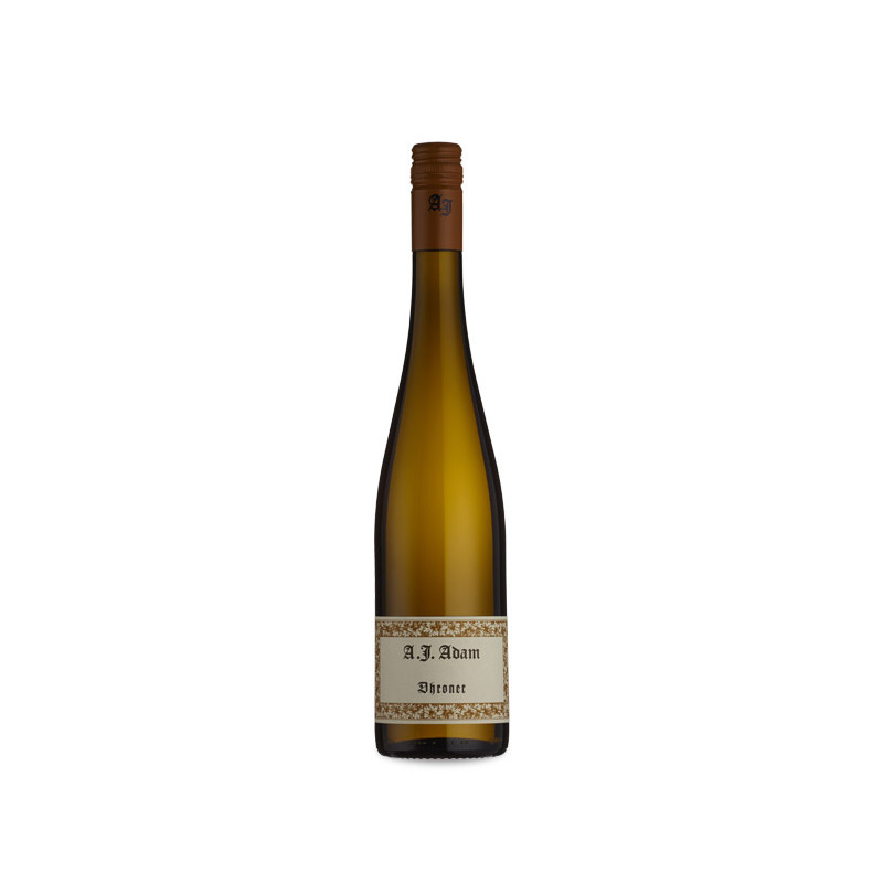 Image of A. J. Adam Dhroner Riesling Trocken 2022