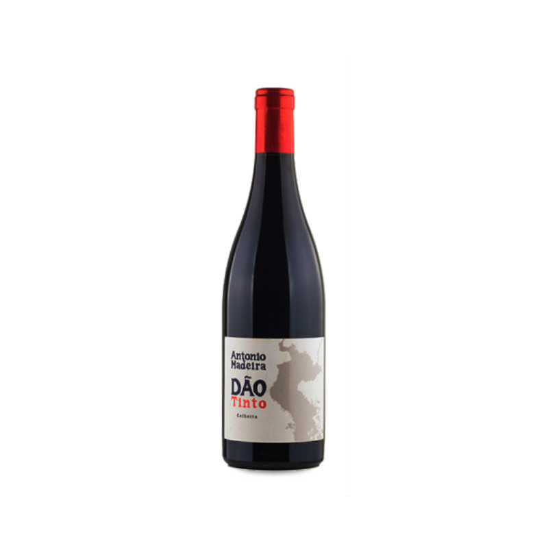 Image of António Madeira Tinto 2021