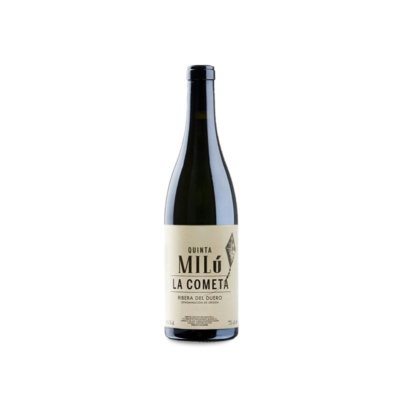 Image of Quinta Milú La Cometa 2021