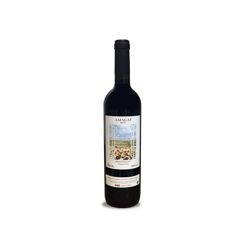 Image of Clos De L'Ona Amagat 2016