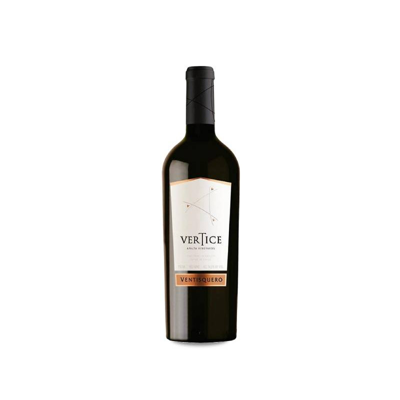 Image of Ventisquero Vertice 2020