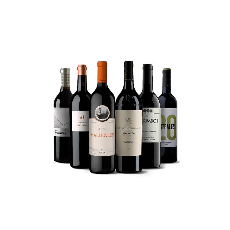 Image of Großartige Ribera del Duero Weine