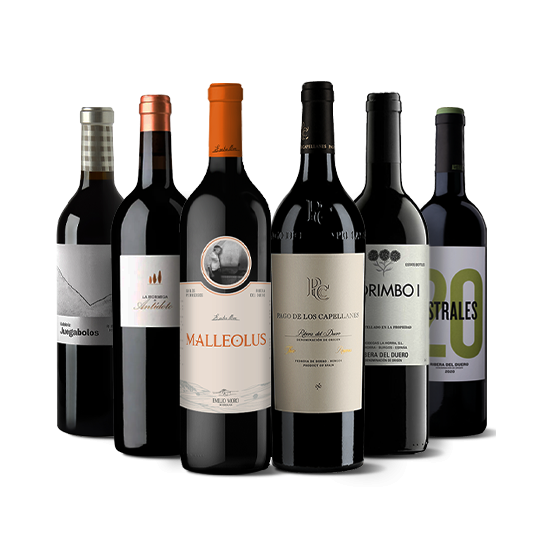 Grandes vinos de la Ribera...