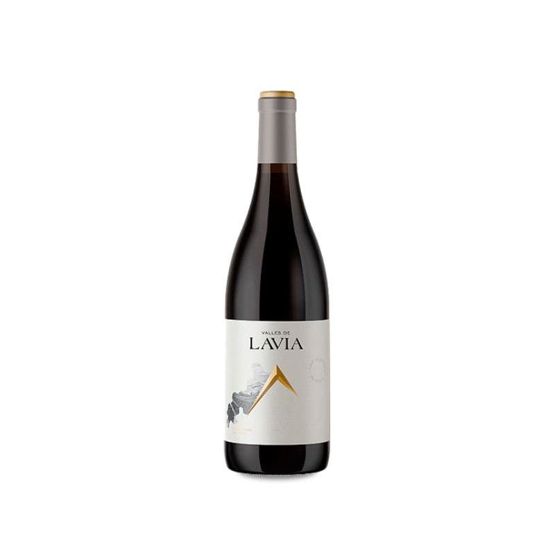 Image of Lavia Valles de Lavia Venta del Pino 2021