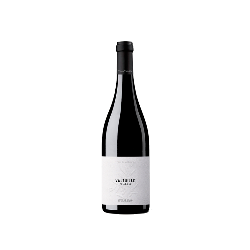 Image of Valtuille de Abajo Vino de Villa 2020