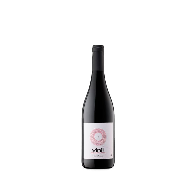 Image of Can Descregut Vinil 2021