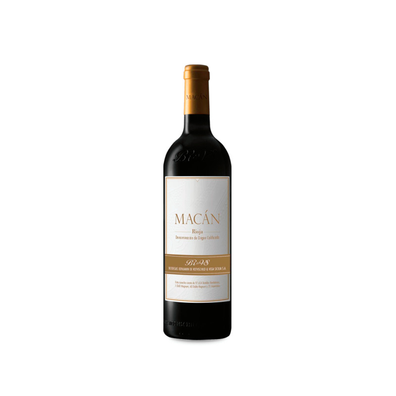 Image of Macán 2019