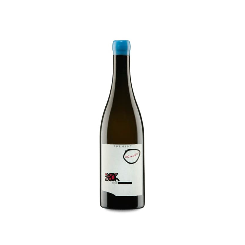 Image of Judith Beck Bambule! Furmint 2022