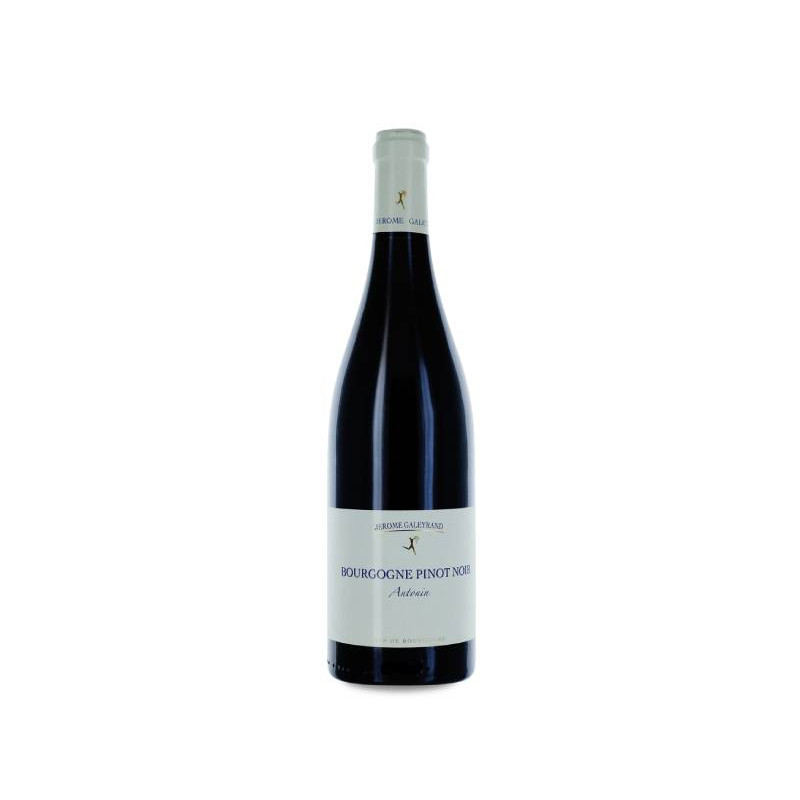 Image of Jérôme Galeyrand Bourgogne Antonin 2022