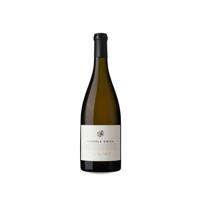 Image of Anselmo Mendes Parcela Única 2021