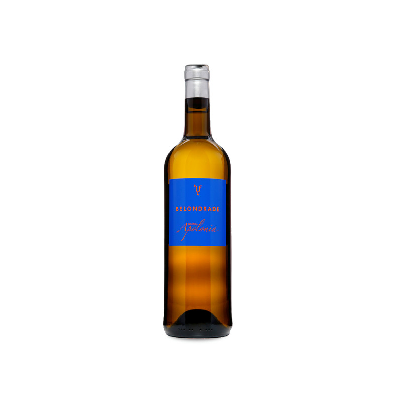 Image of Quinta Apolonia 2023