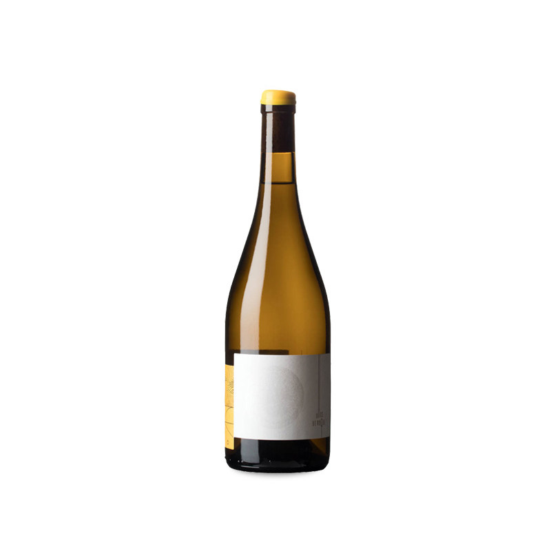 Image of Ollos de Roque 2021