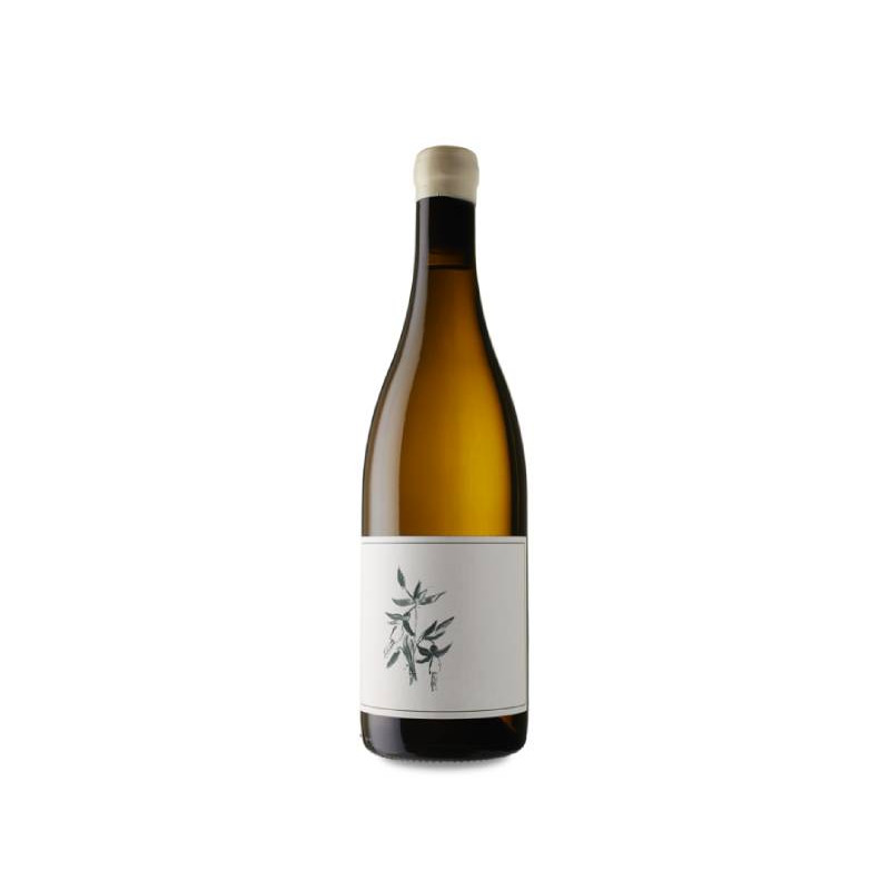 Image of Arnot-Roberts Trout Gulch Vineyard Chardonnay 2021
