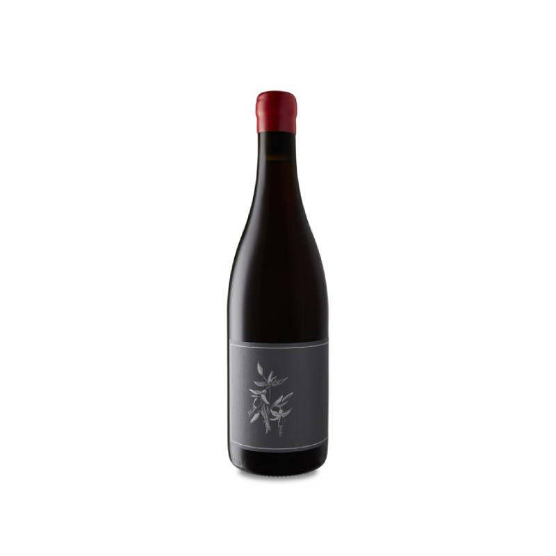 Image of Arnot-Roberts Trousseau Noth Coast 2022