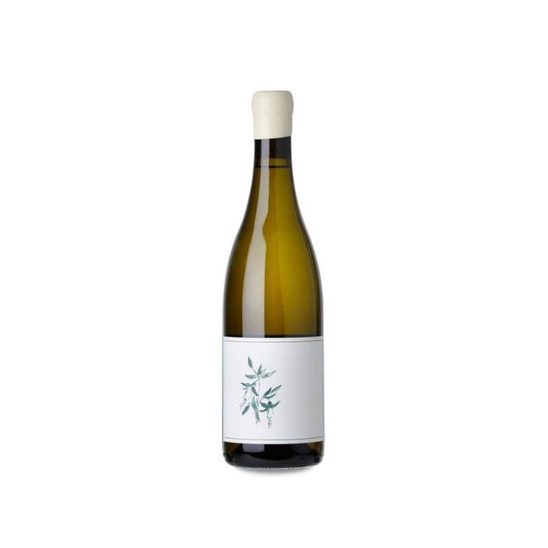 Image of Arnot-Roberts Sanford and Benedict Vineyard Chardonnay 2022