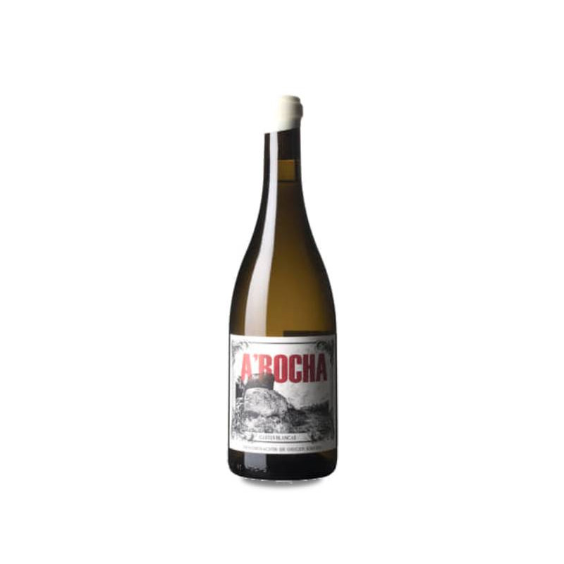 Image of O Morto A Rocha Blanco 2019