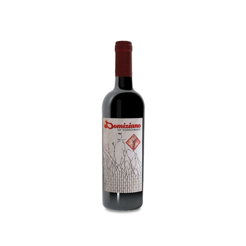 Image of Domiziano Negroamaro 2018