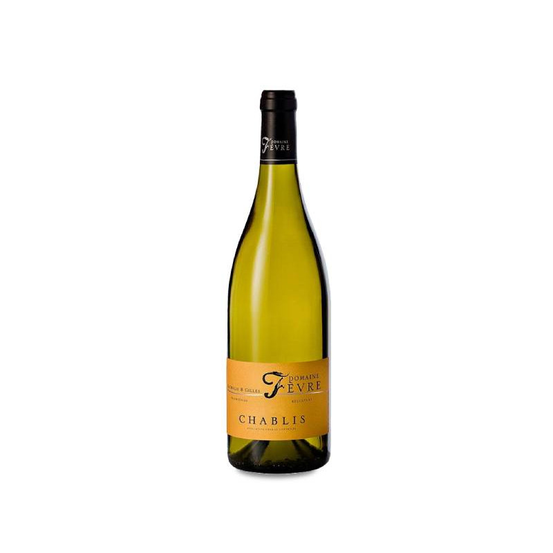 Image of Domaine Nathalie et Gilles Fevre Chablis 2023