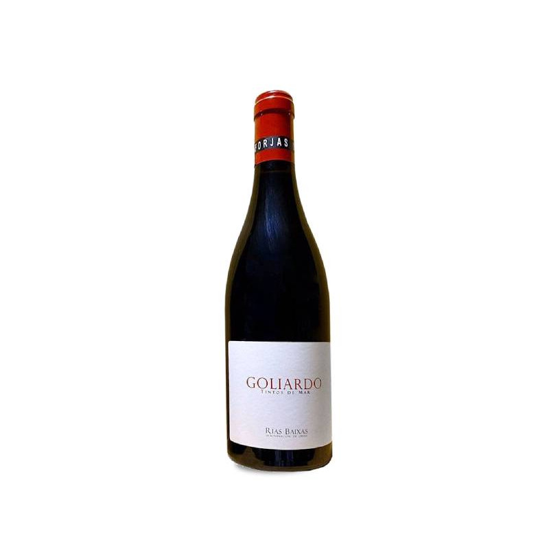 Image of Forjas del Salnés Goliardo Tinto 2021