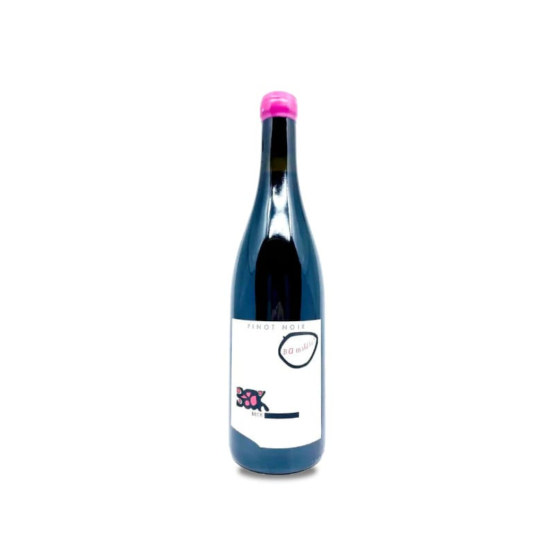 Image of Judith Beck Bambule! Pinot Noir 2022