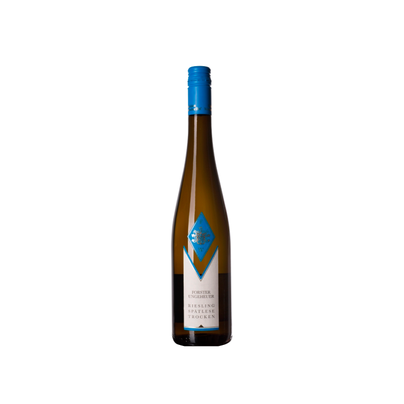 Image of Forster Winzer Ungeheuer Selektion Riesling Seco 2022