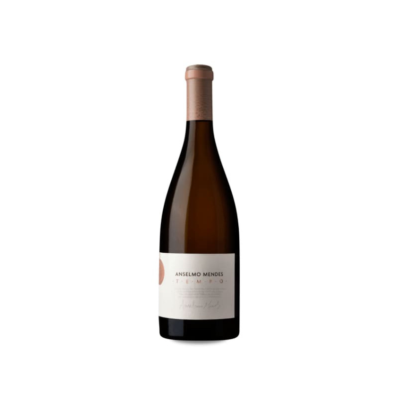 Image of Anselmo Mendes Tempo 2020