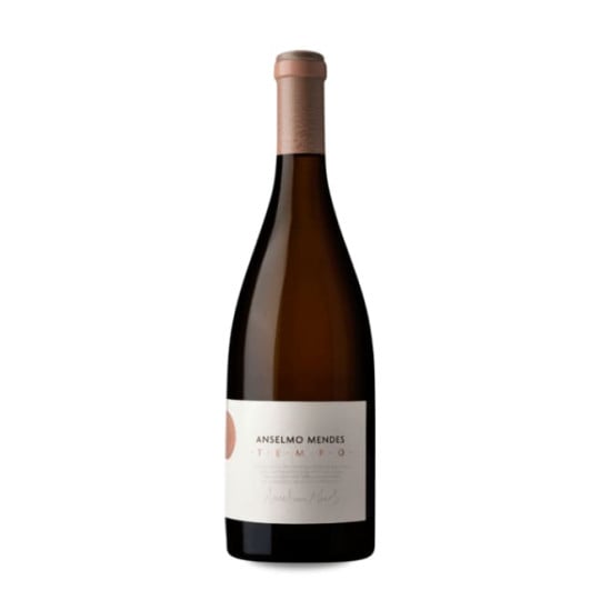 Anselmo Mendes Tempo 2020