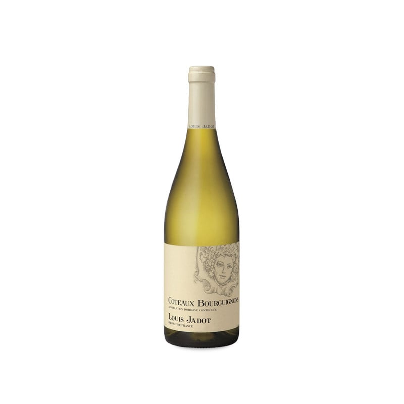 Image of Louis Jadot Coteaux Bourguignons Blanc 2022