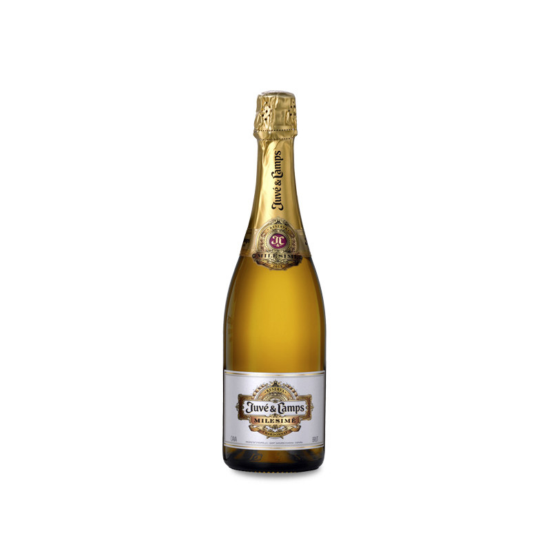 Image of Juvé &amp; Camps Milésimé 2019