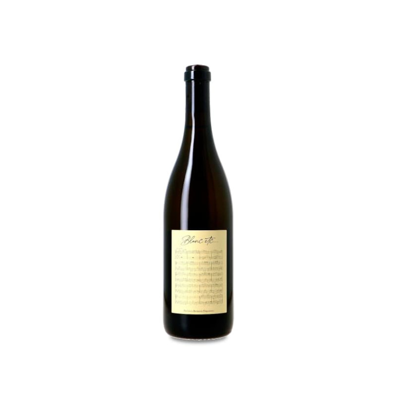 Image of Didier Dagueneu Blanc Etc 2020