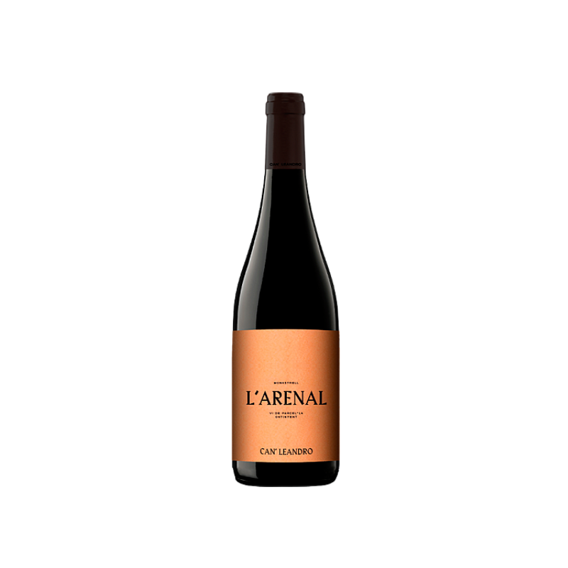 Image of Can Leandro L´Arenal 2021