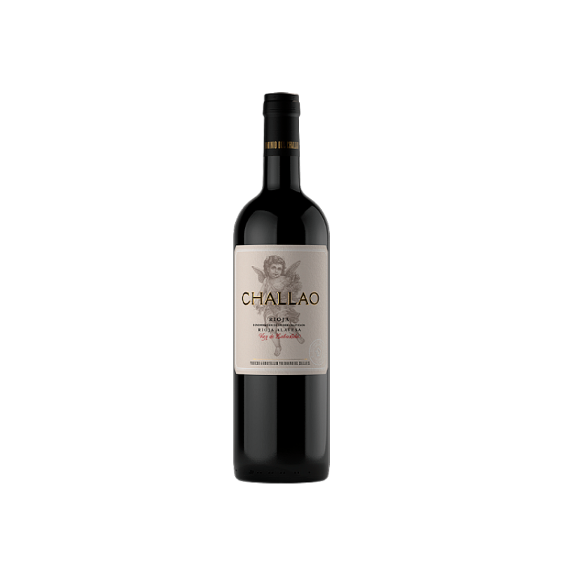 Image of Dominio del Challao 2020