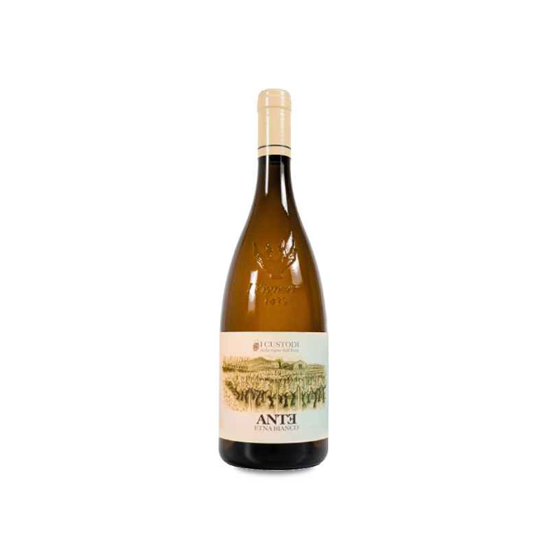 Image of I Custodi delle Vigne dell'Etna Ante 2021