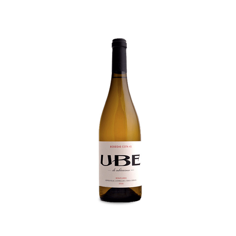 Image of UBE Miraflores 2023