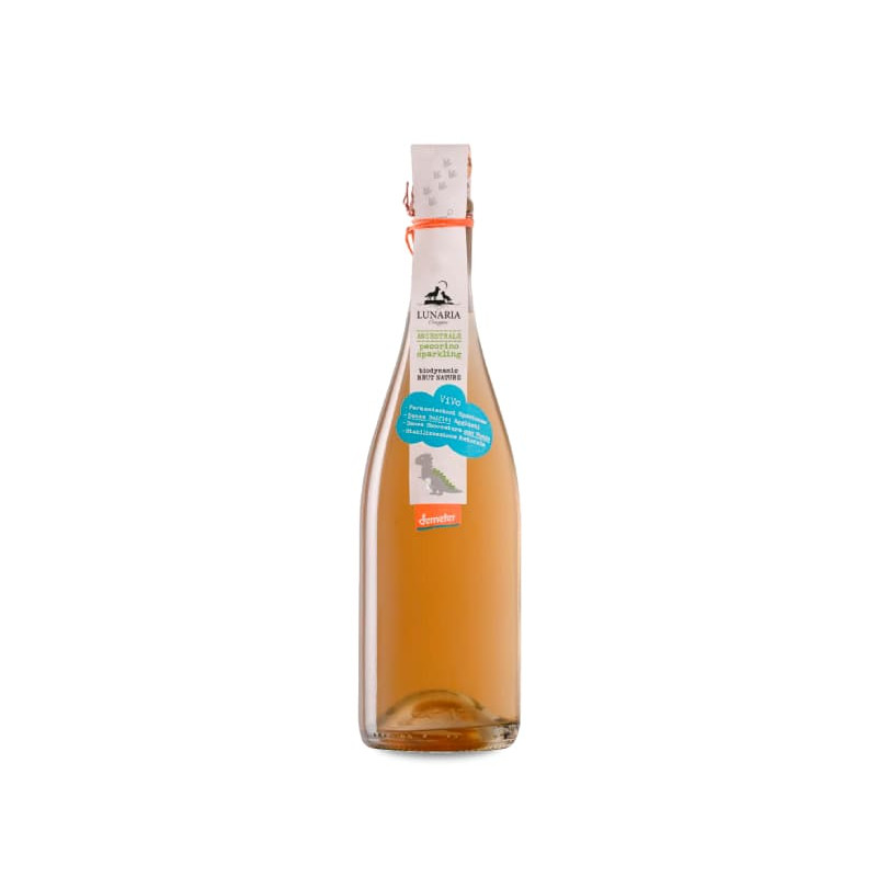 Image of Cantina Orsogna Lunaria Civitas Ancestrale Spumante 2023
