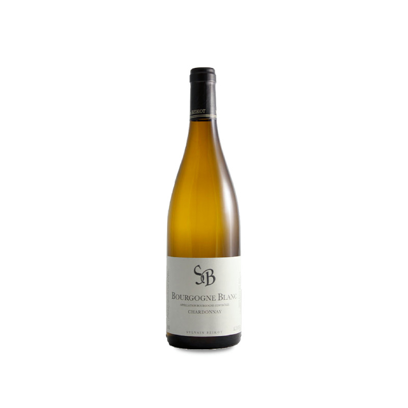 Domaine Sylvain Bzikot Bourgogne Blanc 2022