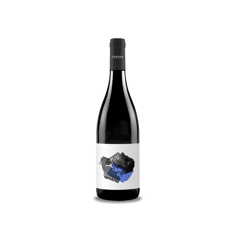 Image of Ignios Baboso Negro 2022