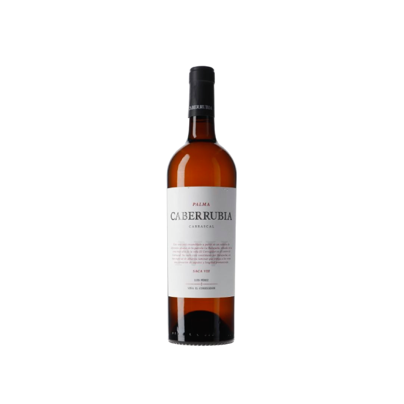 Image of Luis Pérez Fino Caberrubia Saca VIII