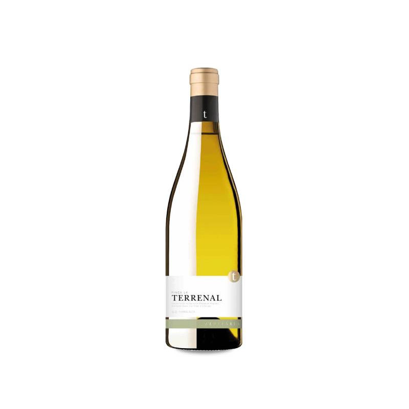 Image of Finca La Terrenal d'Edetària 2021