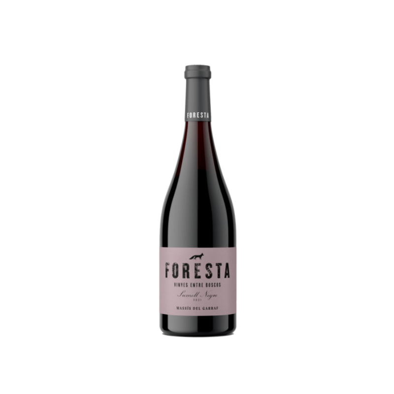 Image of Foresta Sumoll 2021