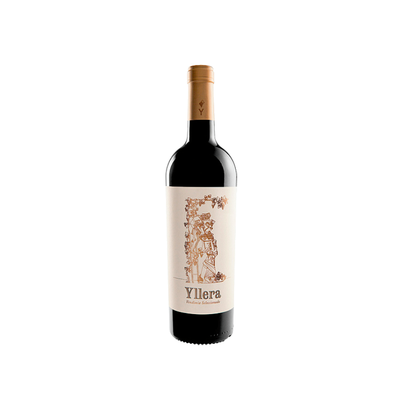 Image of Yllera Vendimia Seleccionada 2019